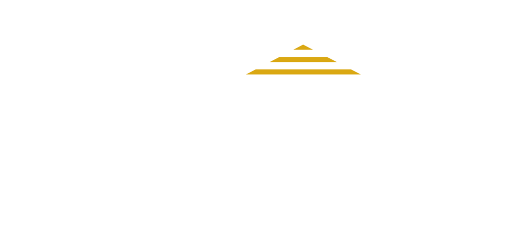 Sani Toiture logo